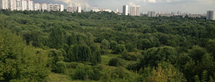 Природно-исторический парк "Тушинский" is one of Orte, die Mr. gefallen.