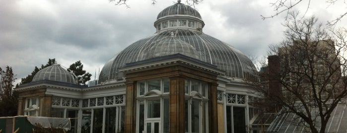 Allan Gardens Conservatory is one of T'ronto.