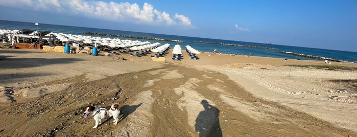Elysium Beach is one of Cyprus.