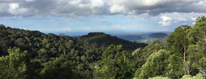 Mount Glorious Restaurant And Cafe is one of brisbane coffee.