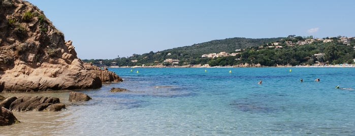 Plage du Ruppione is one of Pines & Water.