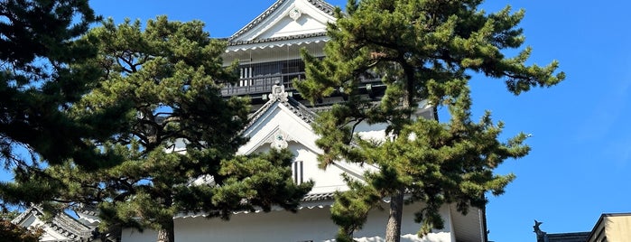 Okazaki Castle is one of どうする家康ツアーズ.