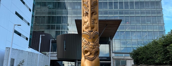 Christchurch City Council is one of Around The World: SW Pacific.