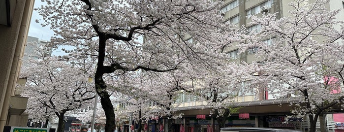 東山線 藤が丘駅 is one of 駅（４）.