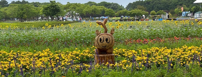 Hamanako Garden Park is one of お気に入り＊.