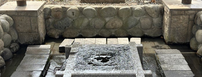 大垣の湧水 is one of 史跡等.