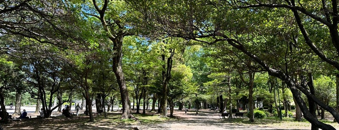 Tsuruma Park is one of Nagoya.