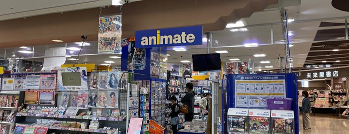 アニメイト 日本全国 アニメイト 日本全国