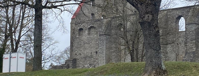 St Bridget’s Covent Ruins is one of Tallinn.