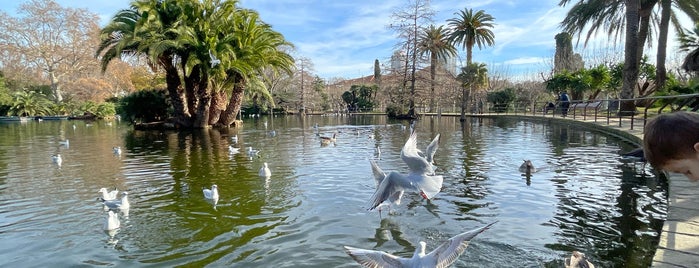 Lago Parc de la Ciutadella is one of Stéphanさんのお気に入りスポット.