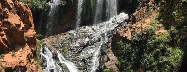 Walter Sisulu National Botanical Gardens is one of south africa.