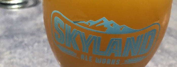 Skyland Ale Works is one of Lauraさんのお気に入りスポット.