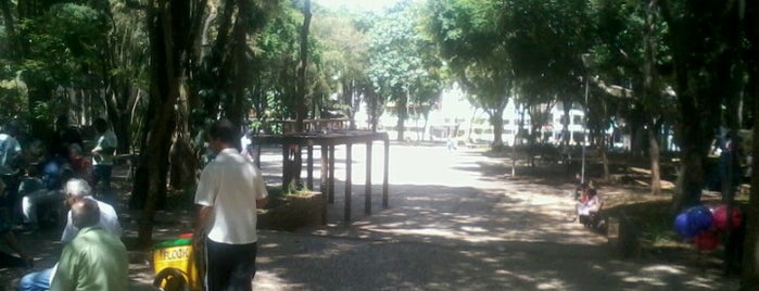 Parque Halfeld is one of Juiz de Fora.