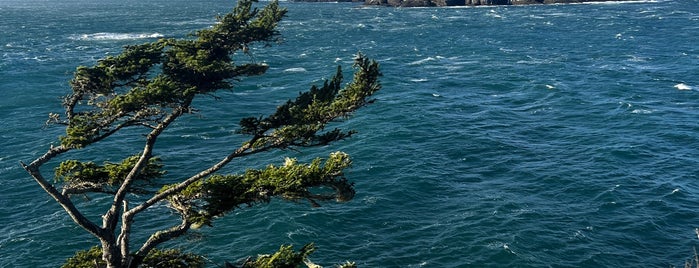 Northwest most point in Contiguous US is one of Olympic NP.