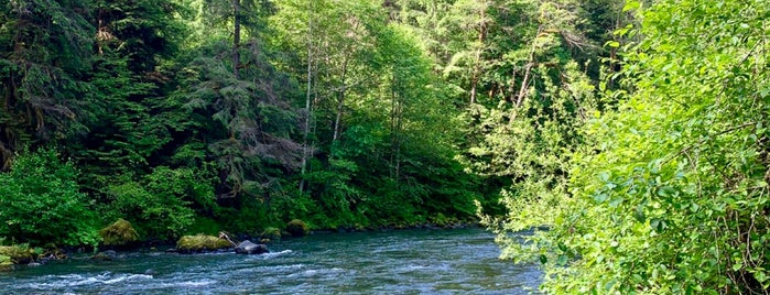 Duckabush River Trail is one of WA State.
