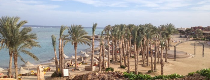 Café del Mar is one of Marsa Alam .. The Pure Nature.