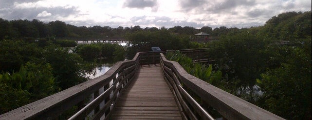 Wakodahatchee Wetlands is one of West Palm.