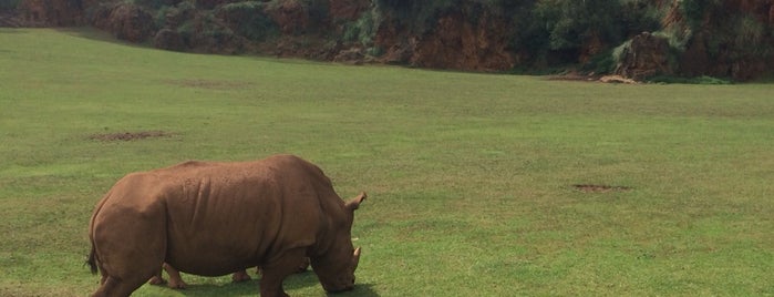 Parque de la Naturaleza de Cabárceno is one of Sergio'nun Beğendiği Mekanlar.