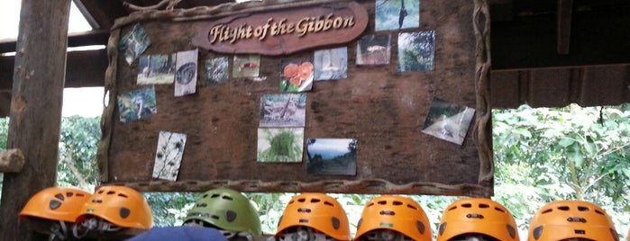 Fight Of The Gibbon is one of สถานที่ที่ Daria ถูกใจ.