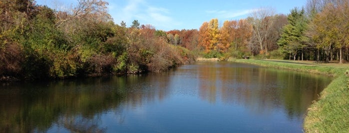 Luhr Park is one of Picture Perfect.
