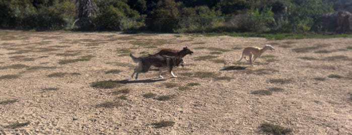 Laurel Canyon Dog Park is one of BeBe.