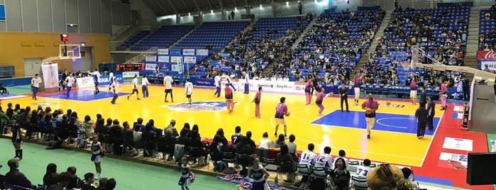 マエダアリーナ (青い森アリーナ) is one of B.League Home Arena.