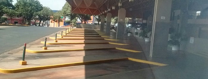 Terminal Rodoviário de Bebedouro is one of Mari.