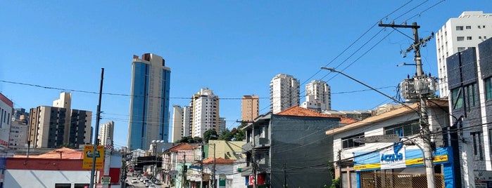 Avenida Água Fria is one of All around.