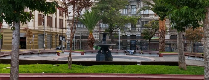 Plaza Echaurren is one of valpo.
