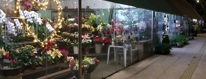 Mercado De Flores is one of Checagens.