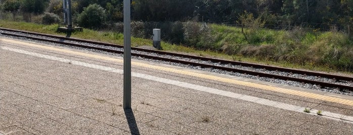 Estação Ferroviária de Caxarias is one of Estações.