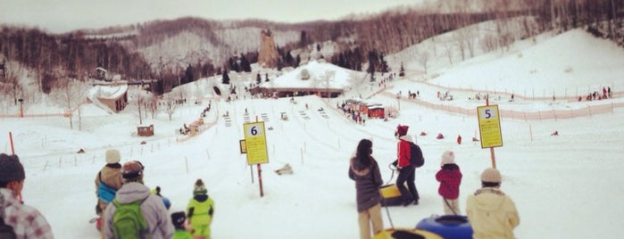 Takino Suzuran Hillside Park is one of japan.