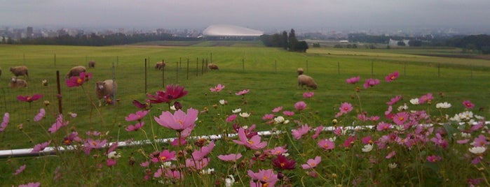 Hitsujigaoka Observation Hill is one of Locais curtidos por おんちゃん.