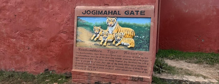 Ranthambhore National Park | रणथंभौर राष्ट्रीय उद्यान is one of Índia.