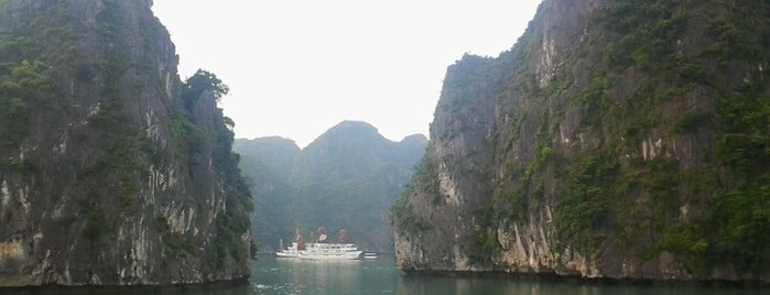 Ha Long Bay is one of Viet Wanderings.