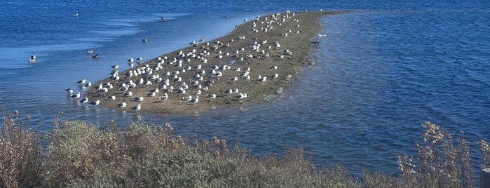 Bolsa Chica Wetlands is one of Park.