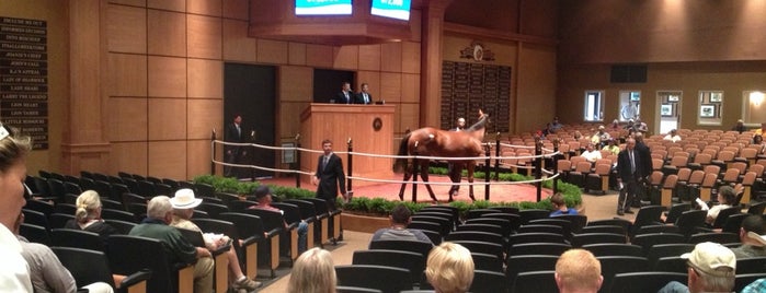 Fasig Tipton Livestock Auction is one of Horse Capital of the World.
