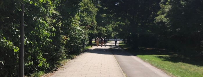 Alte Heide is one of Michael’s Liked Places.