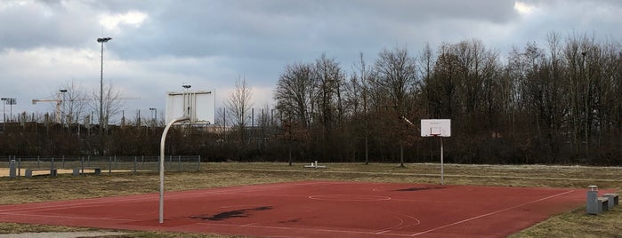 Basketballplatz Campeon is one of Campeon.