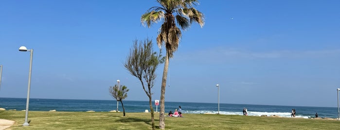 Charles Clore Park is one of Tel Aviv Places.