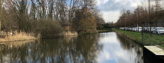 Roel Langerakpark is one of สถานที่ที่ Theo ถูกใจ.