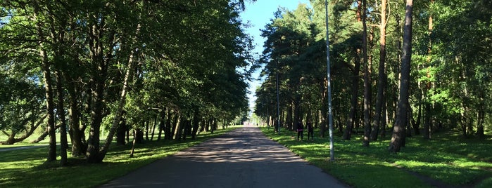 Stroomi Forest is one of Eesti.