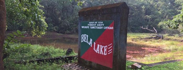 Cotigao Wildlife Sanctuary is one of Goa.