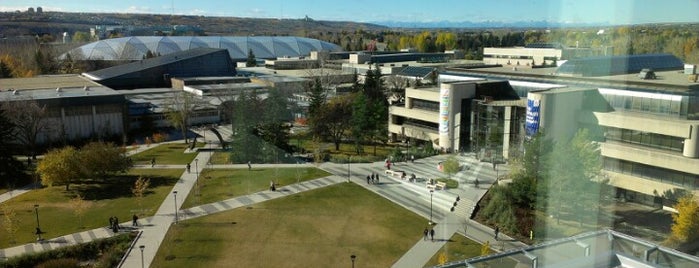 University of Calgary is one of Tempat yang Disukai Elina.