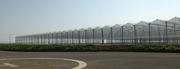 Agro Park Cluster is one of VISITS.