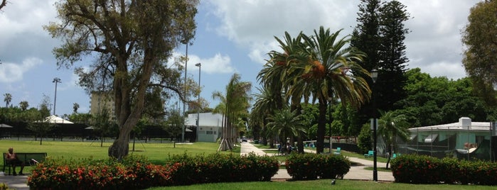 Flamingo Park is one of สถานที่ที่บันทึกไว้ของ Fabio.