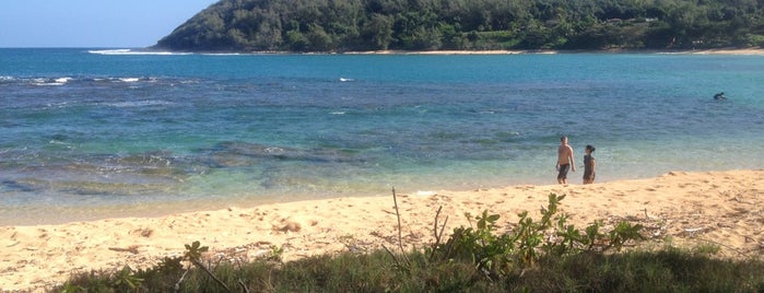 Moloa‘a Beach is one of Kaua‘i Recommendations.