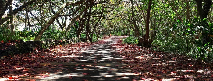 Wai‘ānapanapa State Park is one of Maui Recommendations.