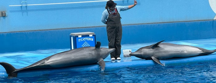 新潟市水族館 マリンピア日本海 is one of Top picks for Aquariums.