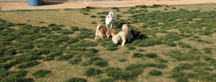 Desert Breeze Dog Park is one of Johnさんのお気に入りスポット.